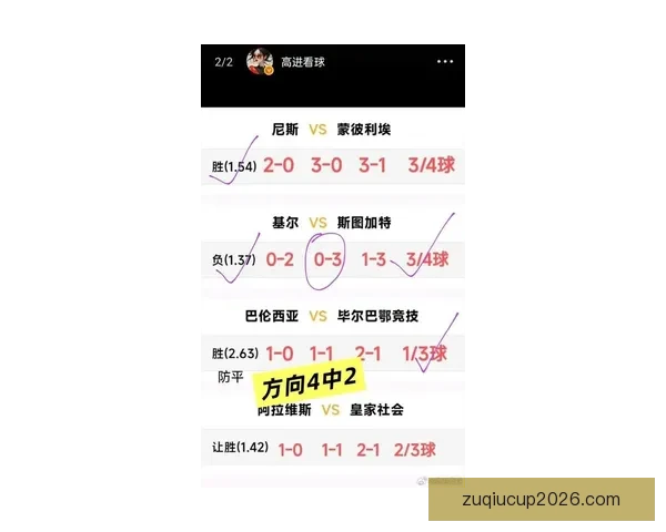 世界杯最新竞猜赔率对比分析及热门球队胜算深度解析