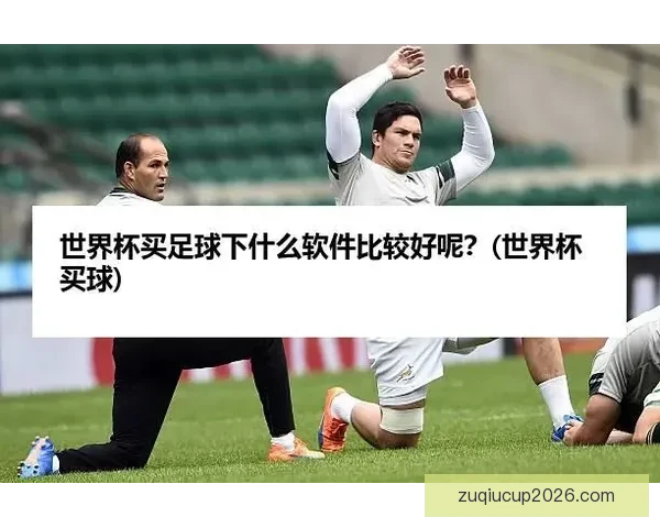 世界杯赛事全攻略与买球推荐指南助你精准投注